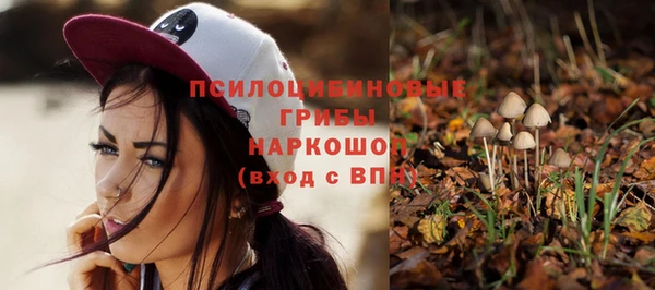 мяу мяу мука Медвежьегорск