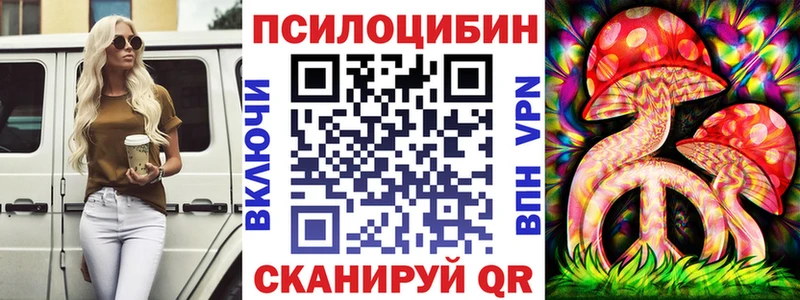 Купить Хотьково Галлюциногенные грибы Psilocybine cubensis